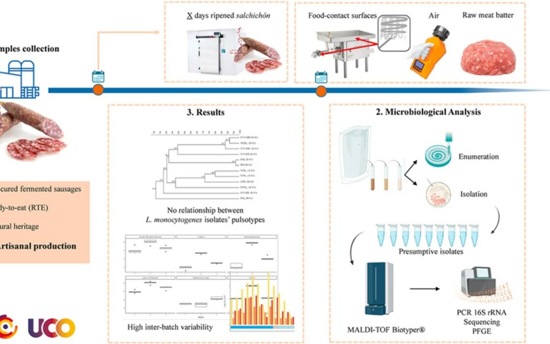 Diversidad microbiana en salchichón artesanal. La seguridad alimentaria en el punto de mira del consumidor.