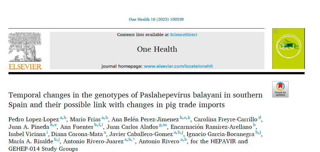 Hepatitis E y la importación comercial de porcino.