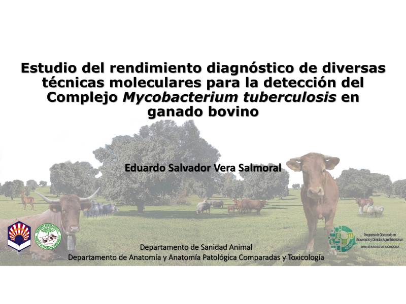 Eduardo Vera (1)